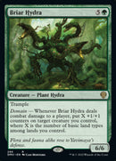 Briar Hydra [Dominaria United] ESPAÑOL
