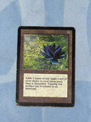 Black Lotus [Beta Edition]