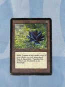 Black Lotus [Beta Edition]
